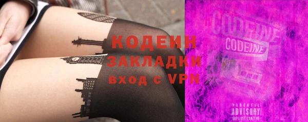 прущие грибы Бородино