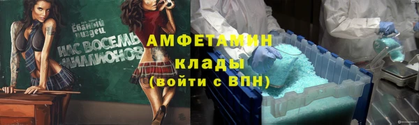 крисы Бронницы