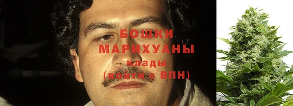 крисы Бронницы
