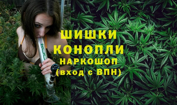 крисы Бронницы