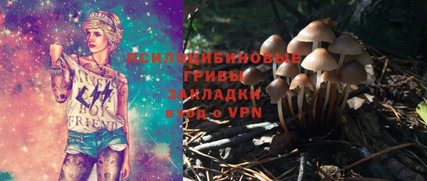 прущие грибы Бородино