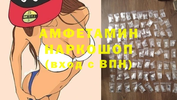 крисы Бронницы