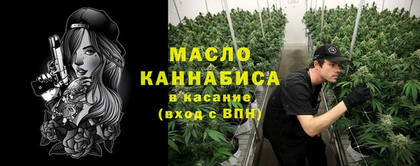 крисы Бронницы