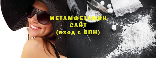 прущие грибы Бородино