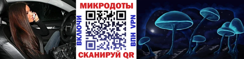 Псилоцибиновые грибы Psilocybe это наркотические препараты Великий Новгород